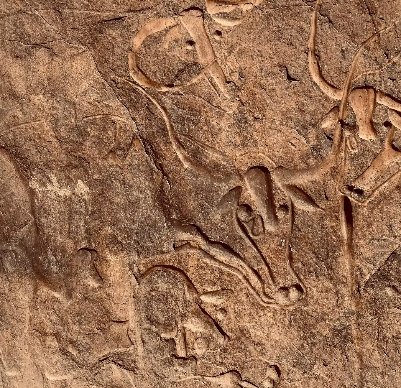 cave drawing 4